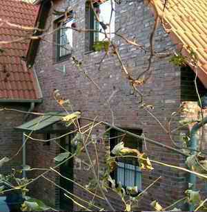 Haus seerose